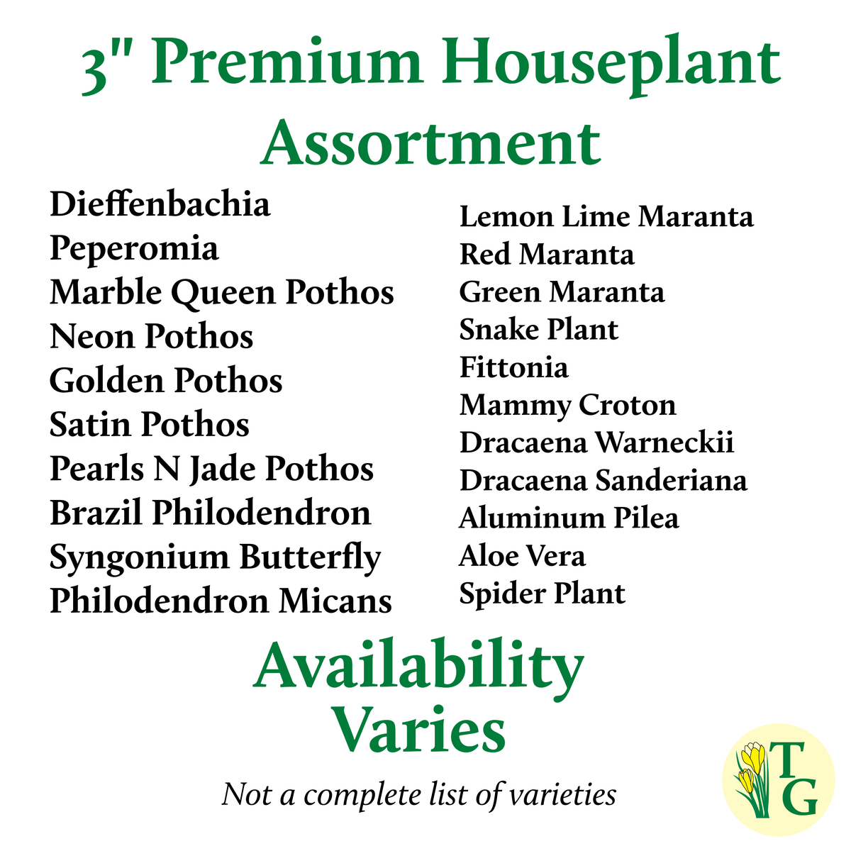 Premium 3" Live Plants - Grower's Choice Assortment
