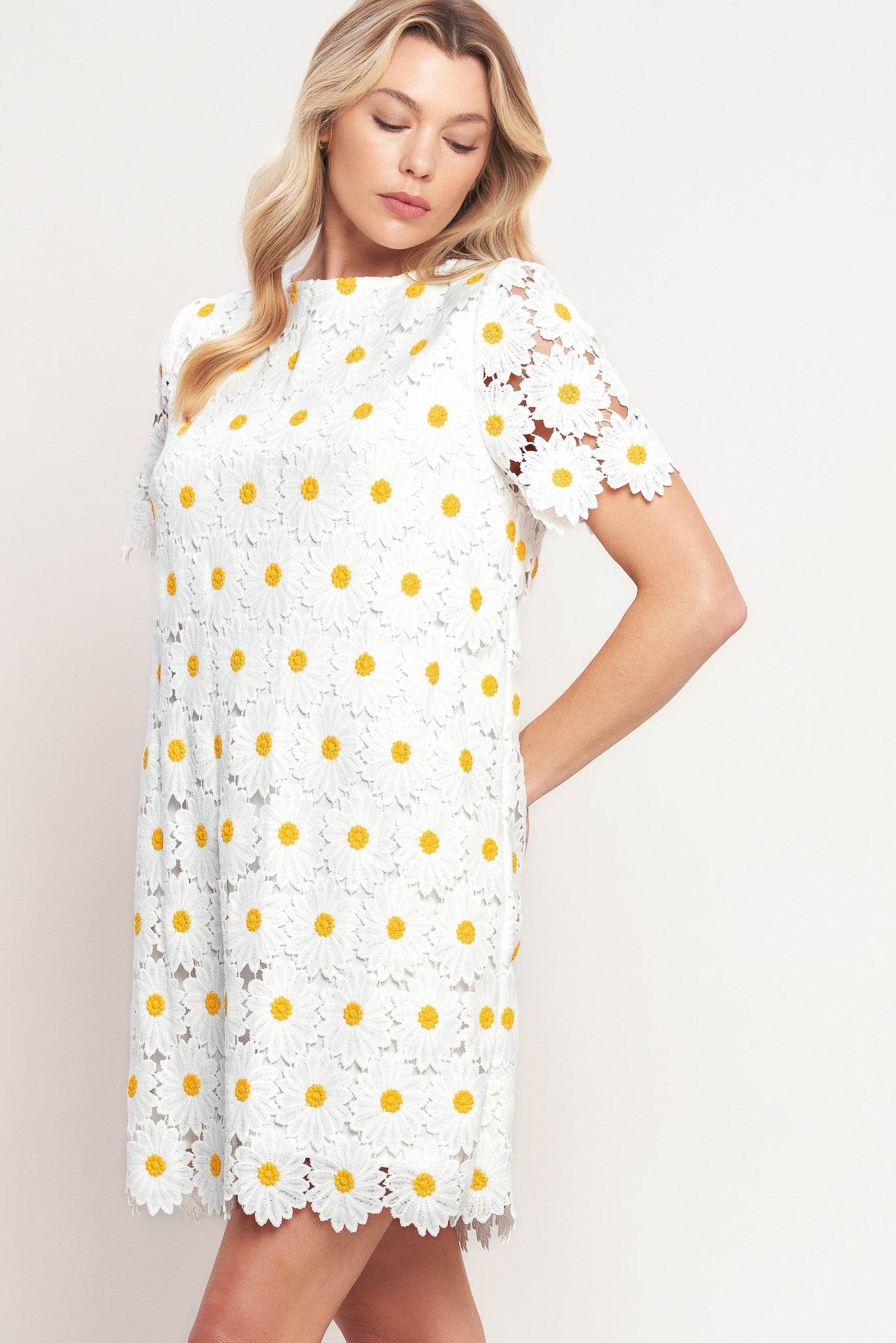 DAISIES AND DAYDREAMS WOVEN LACE MINI DRESS