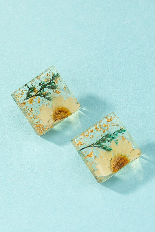 Square Dried Daisy Flower Studs