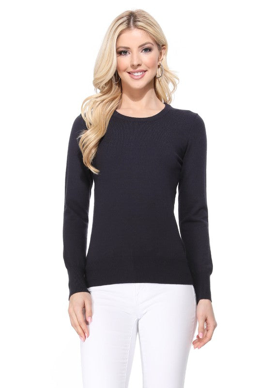 Crew Neck Long Sleeve Light Basic Casual Knit Top