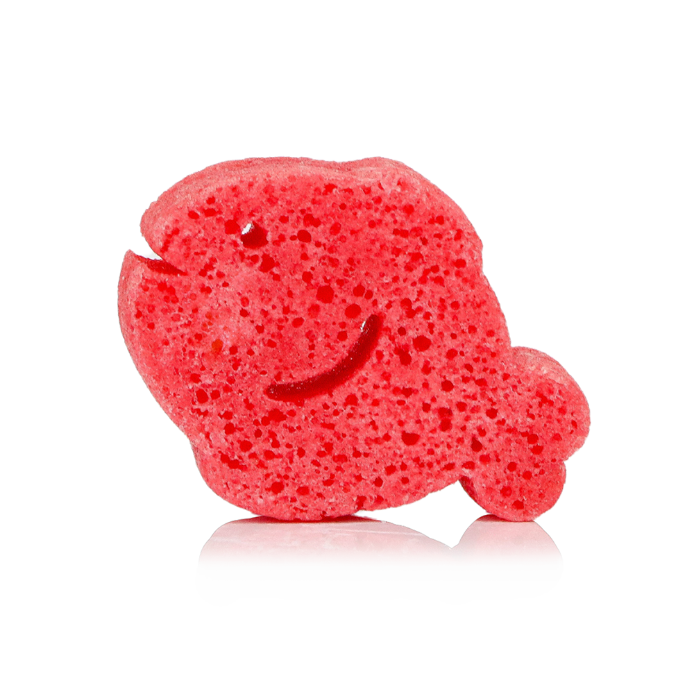 Kids- Fiona Fish Sea Animals Sponge